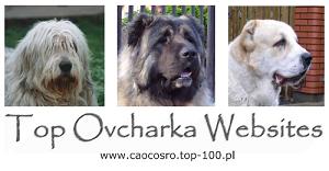 Top Ovcharka Websites